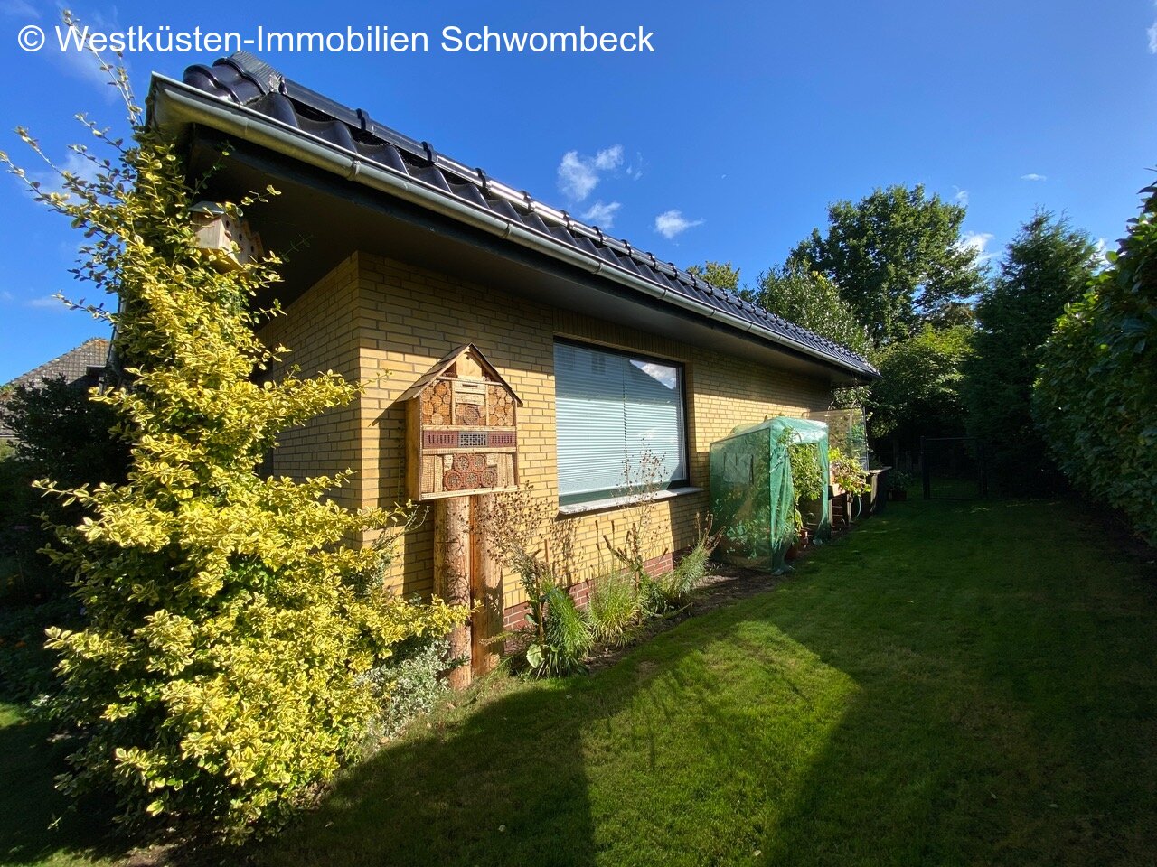 seitliche Ansicht