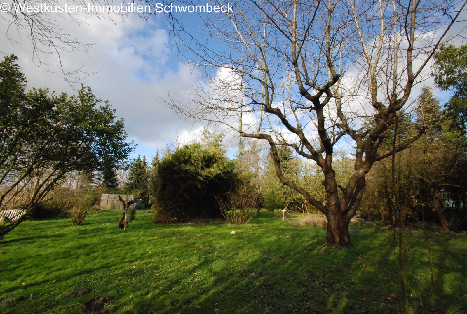 Obstgarten