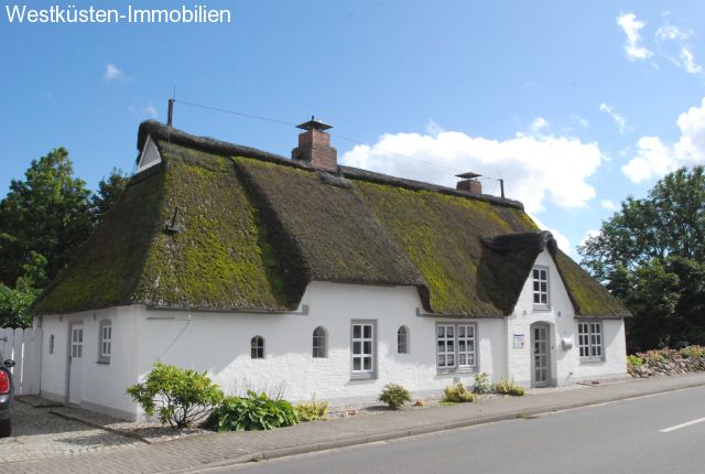 Hemmingstedt: Hübsche sanierte Reetkate zwischen Meldorf und Heide! 