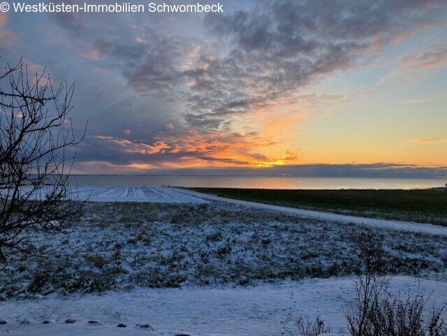 Ausblick