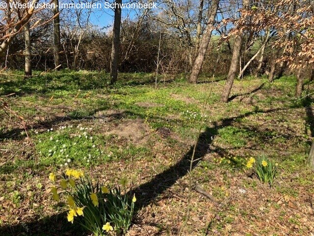 Gartenansicht