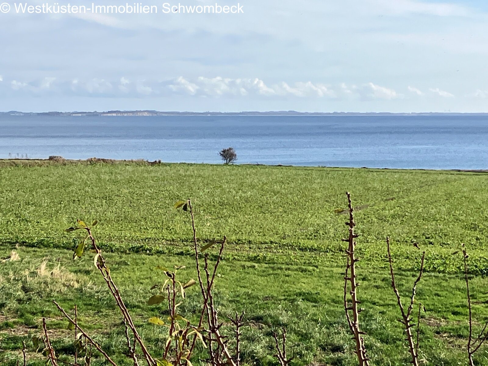 Ausblick