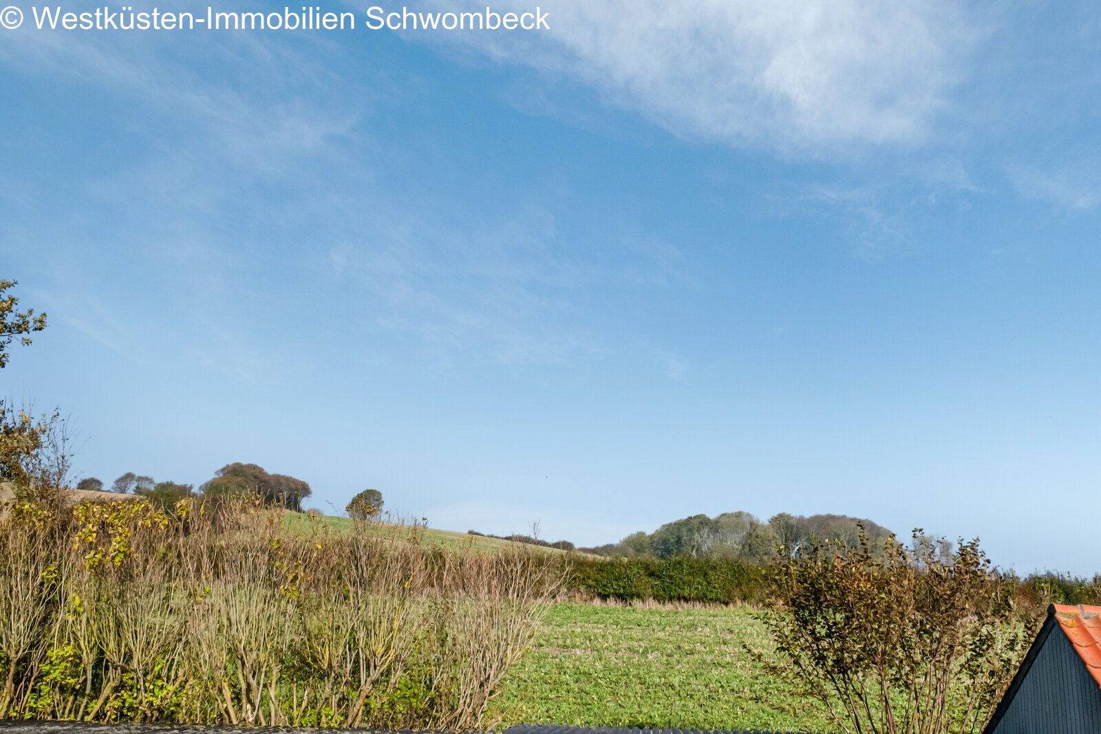 Ausblick