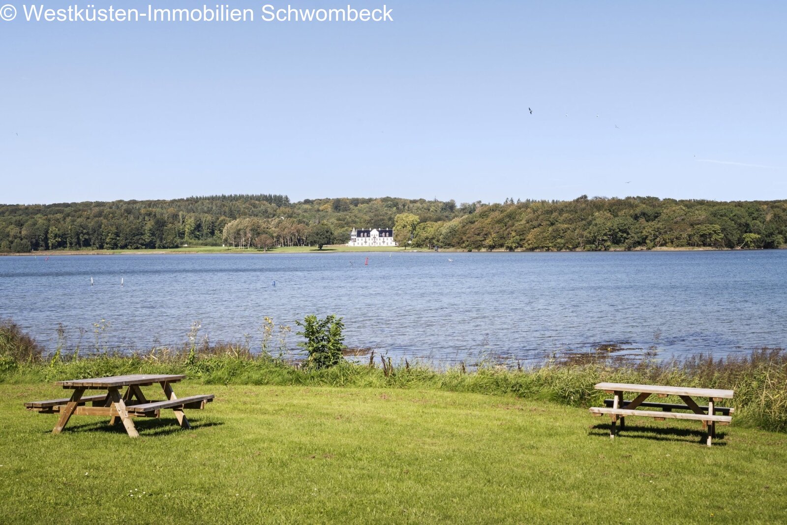 Ausblick