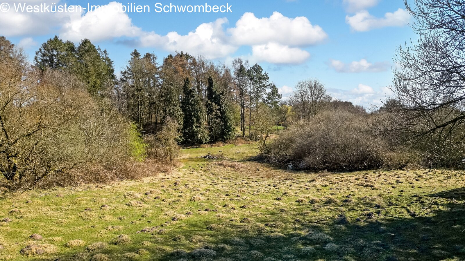 Natur