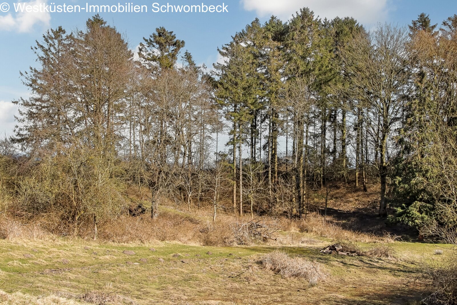 Natur