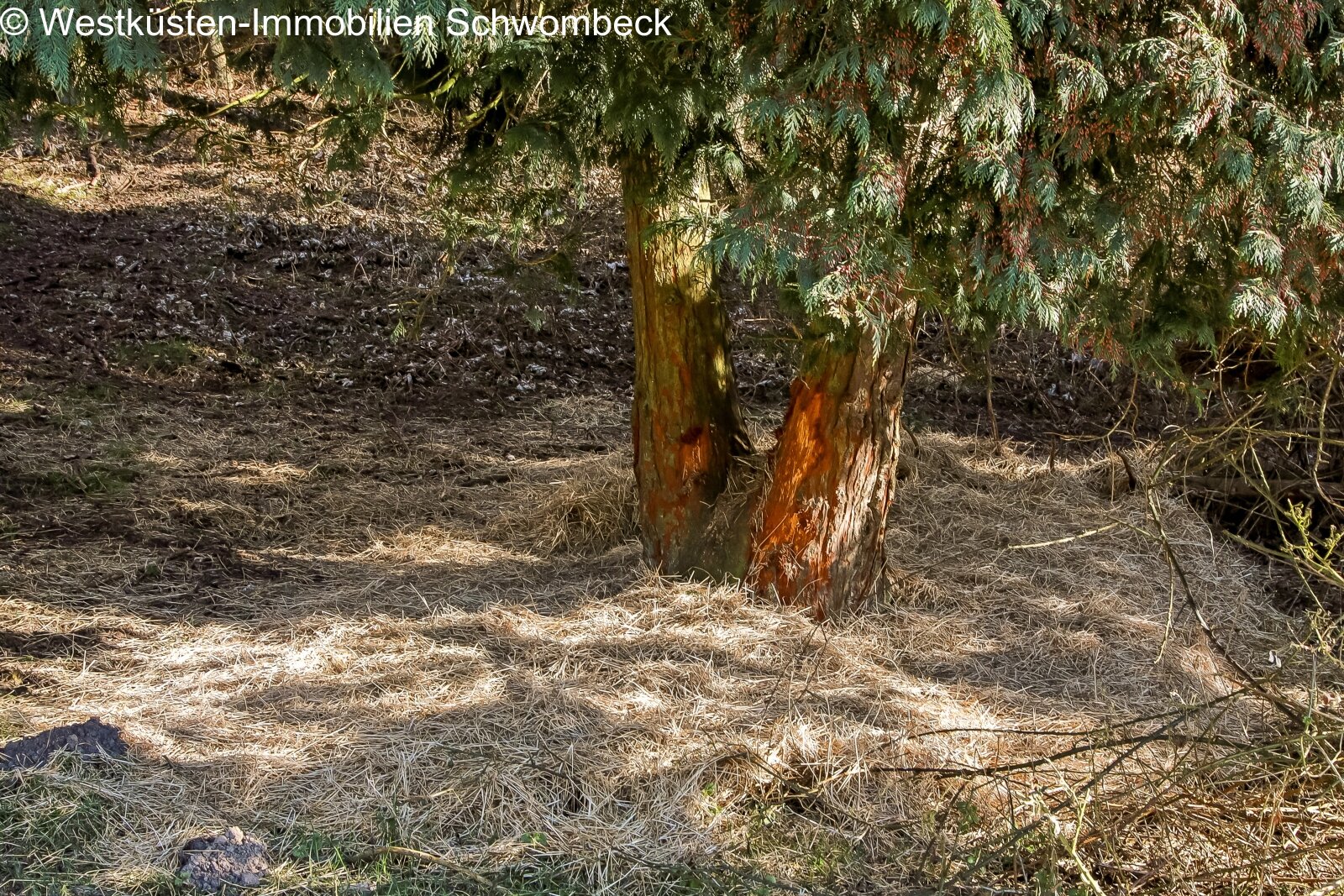  Natur
