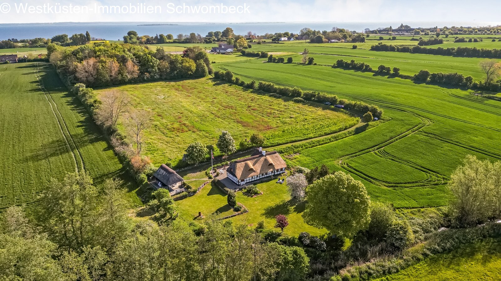 Billede Område 