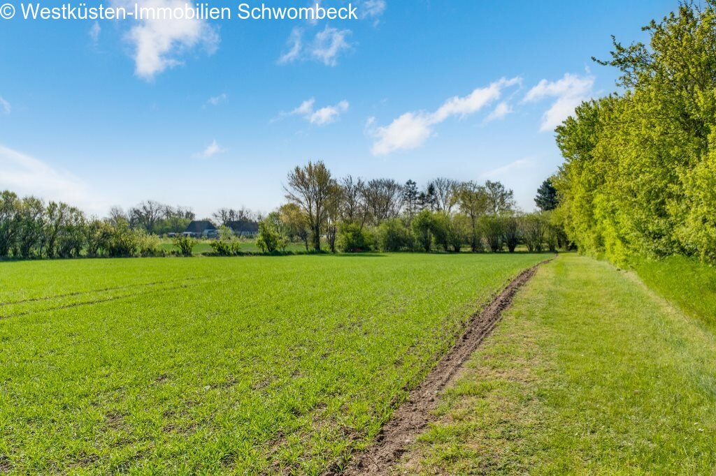 Grundstück