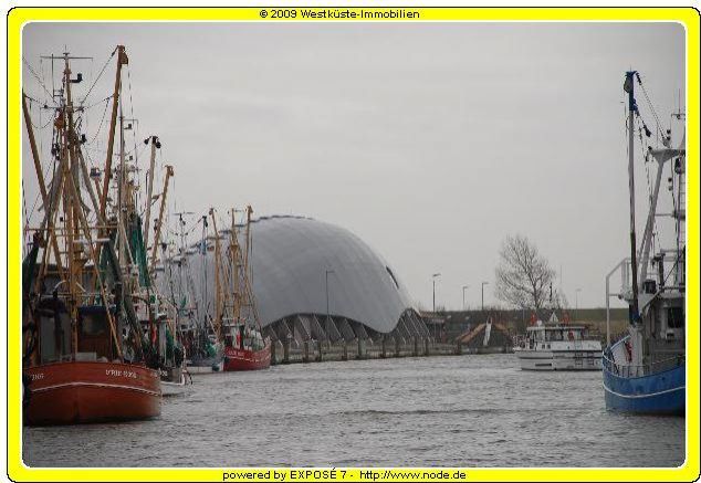 Friedrichskoog: Kleines Ferienhaus in schöner , ruhiger Lage an der Nordsee! 