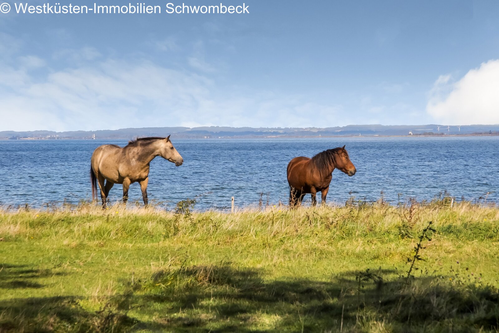 Natur und Meerblick