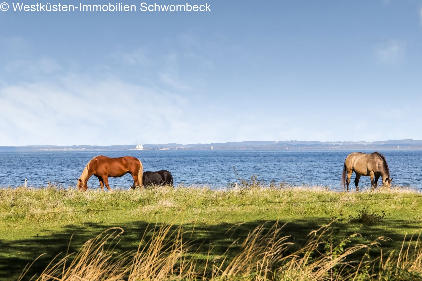 Natur und Meerblick