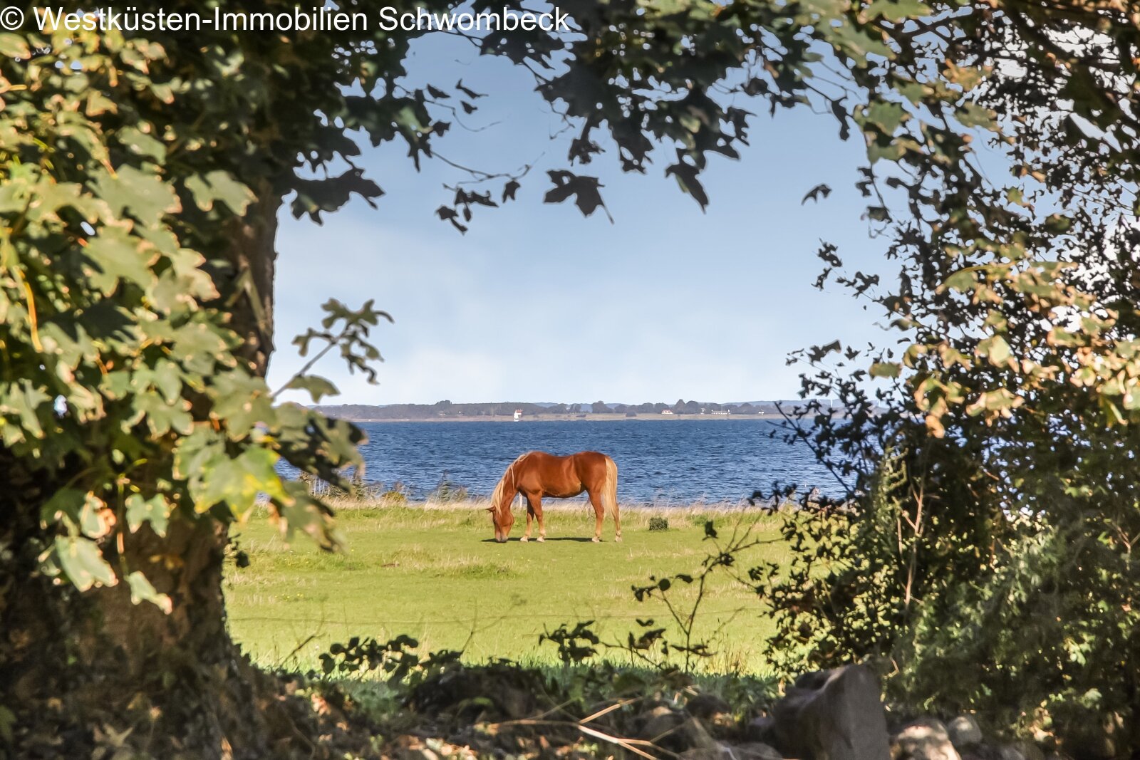 Natur und Meerblick