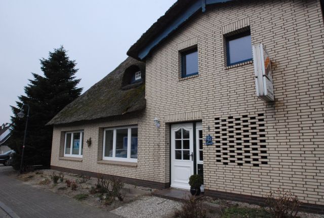 Weddingstedt: Exclusive Wohnung unter Reet - Erstbezug nach Sanierung, nähe Heide! 