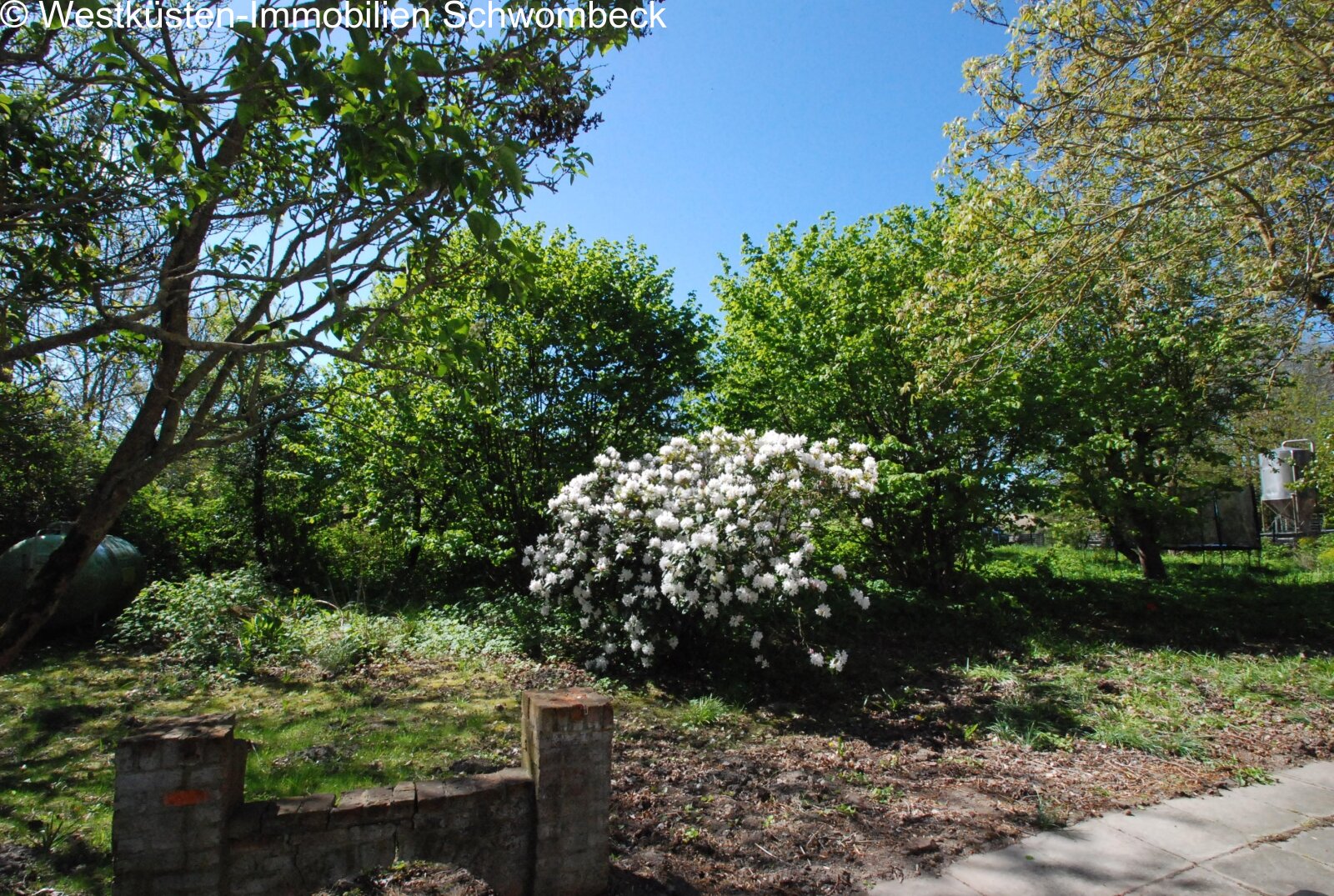 Naturnaher Garten mit altem Baumbestand und Ruheoase Naturnaher Garten mit altem Baumbestand und Ruheoase