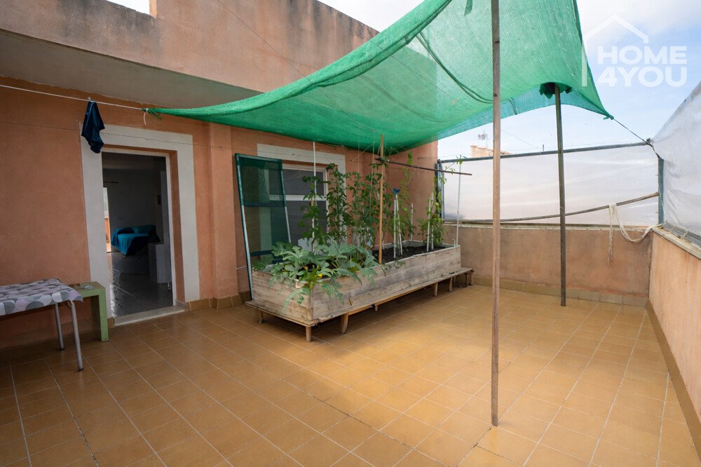 Terrasse Terrasse