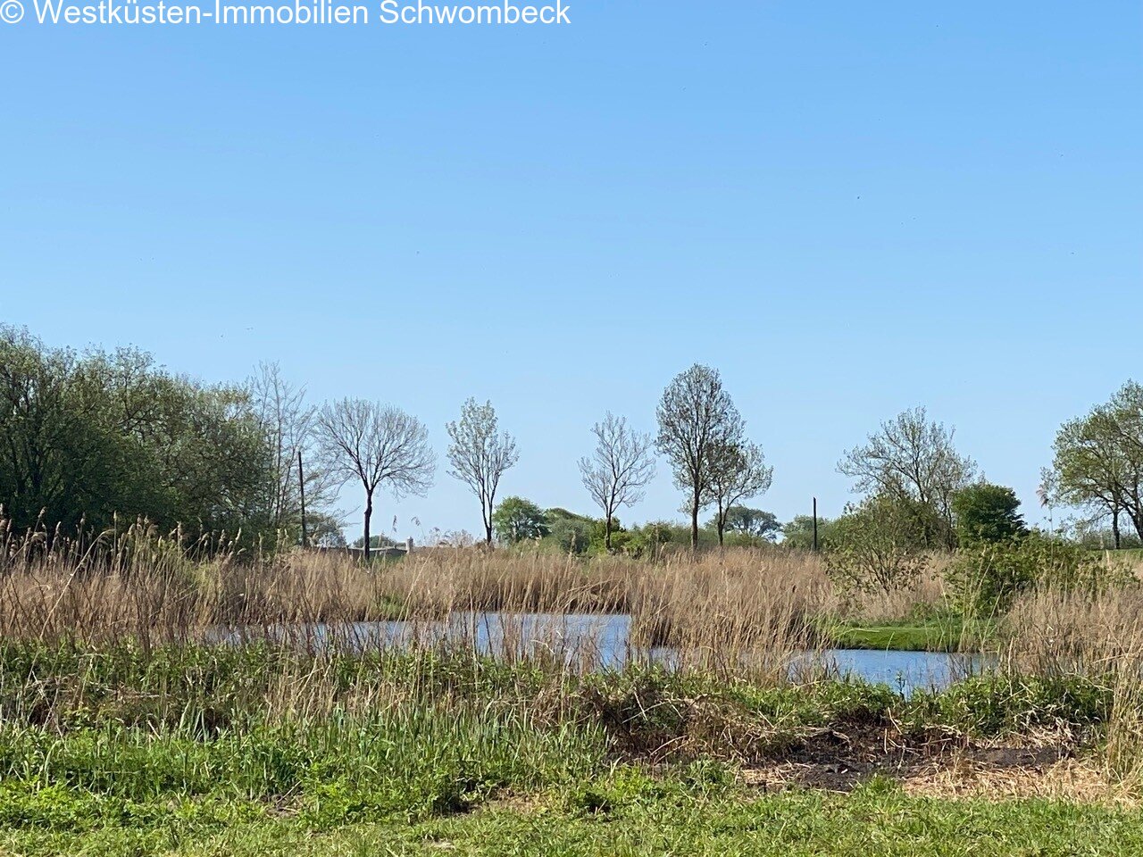Naturnahes Grundstück am Wehl und ausreichend Platz für Pferde und Tiere Naturnahes Grundstück am Wehl und ausreichend Platz für Pferde und Tiere