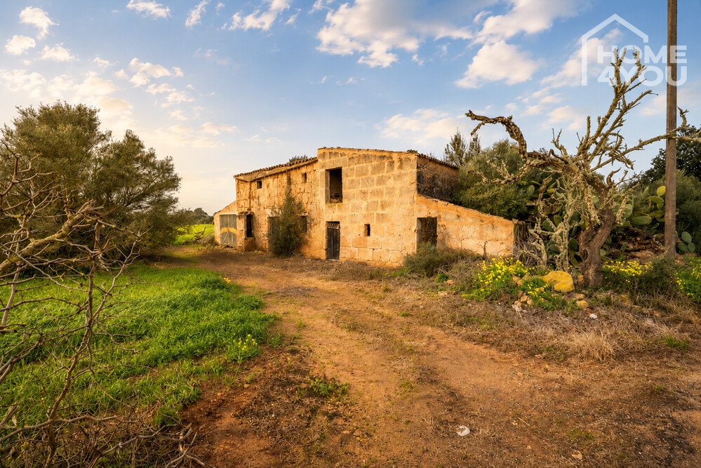 Finca Finca