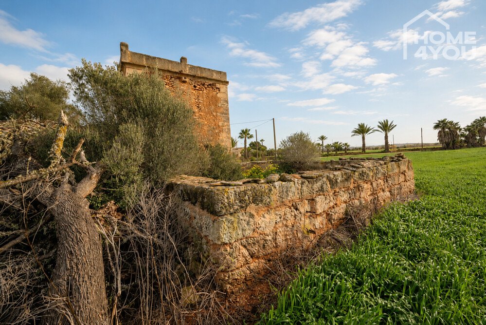 Bestandsfinca Bestandsfinca