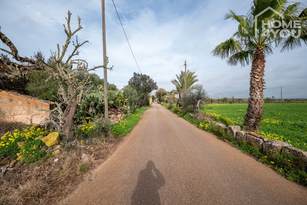 Straßenansicht Straßenansicht