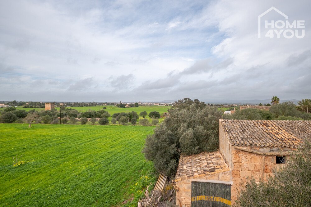 Finca Finca