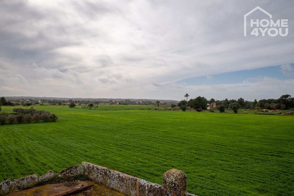 Landschaft Landschaft