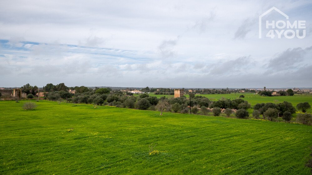 Aussicht Aussicht