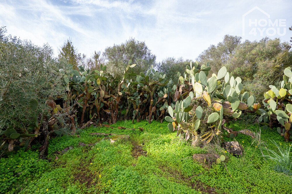 Garten Garten