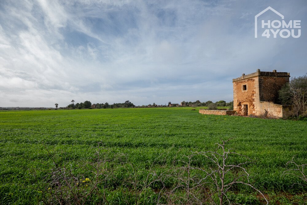 Finca Finca