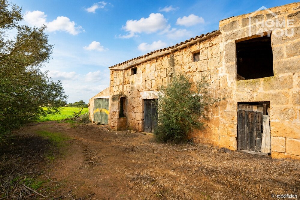 Bestandsfinca Bestandsfinca