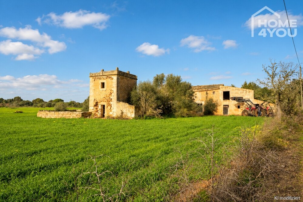 Finca Finca