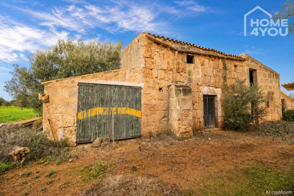 Bestandsfinca Bestandsfinca
