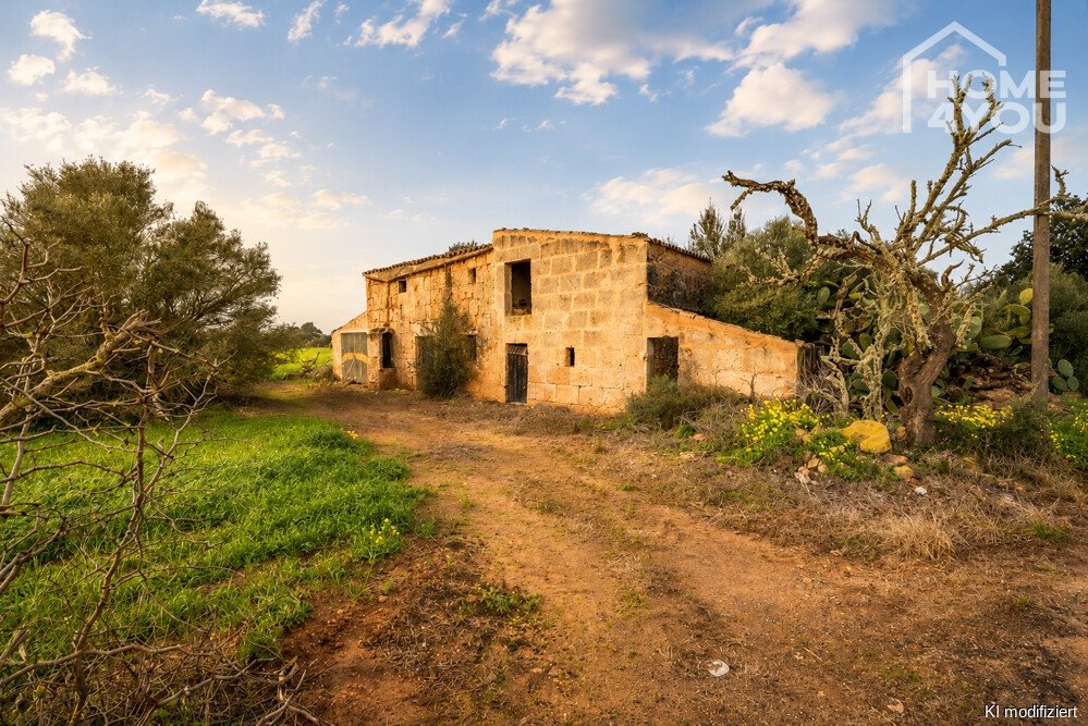 Finca Finca