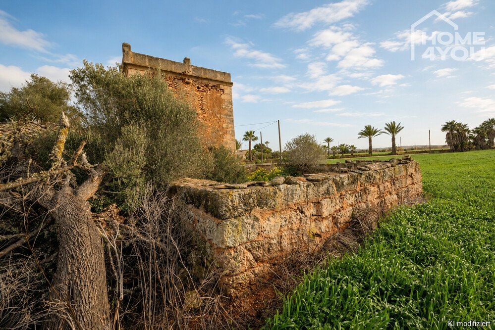 Bestandsfinca Bestandsfinca
