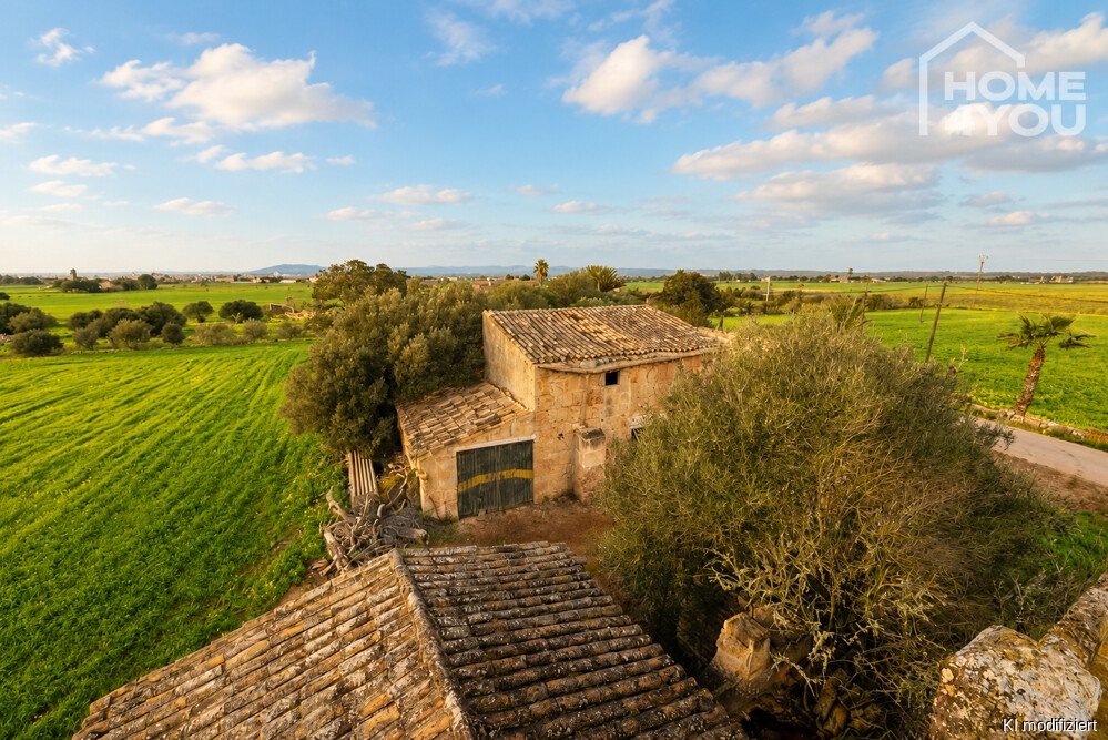 Bestandsfinca Bestandsfinca
