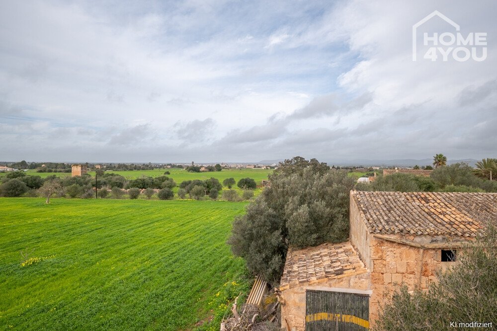 Finca Finca