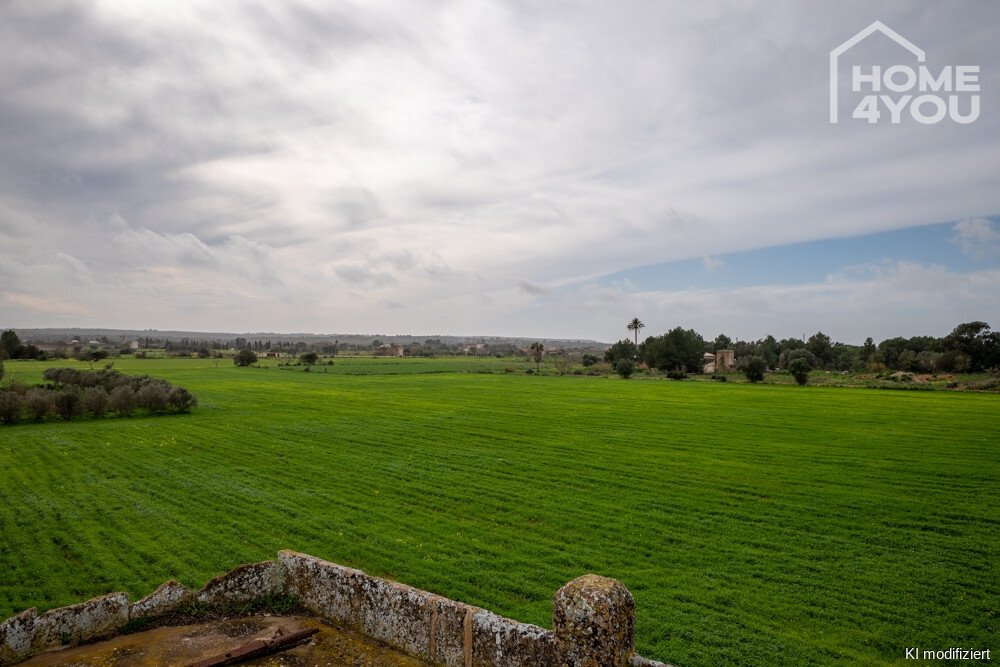 Landschaft Landschaft