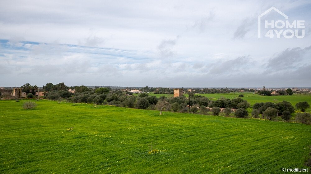 Aussicht Aussicht