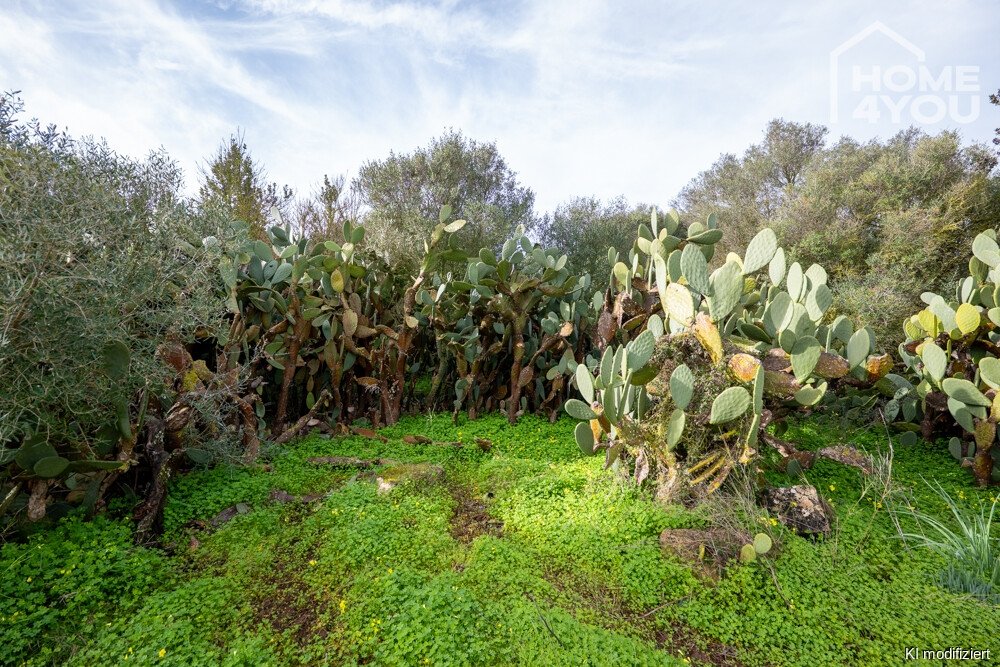 Garten Garten