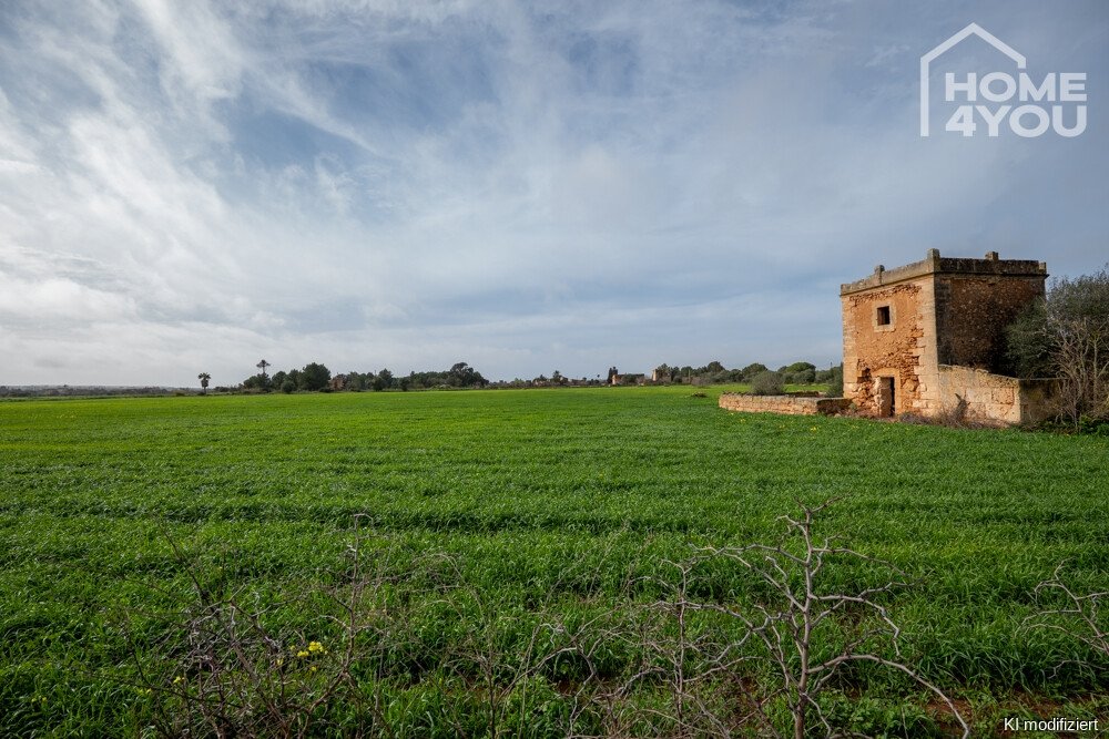 Finca Finca