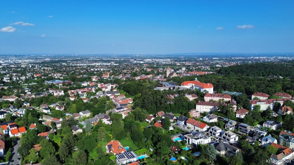 Ausblick Ausblick