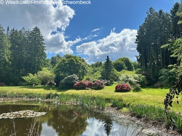 Blick über den Teich Blick über den Teich