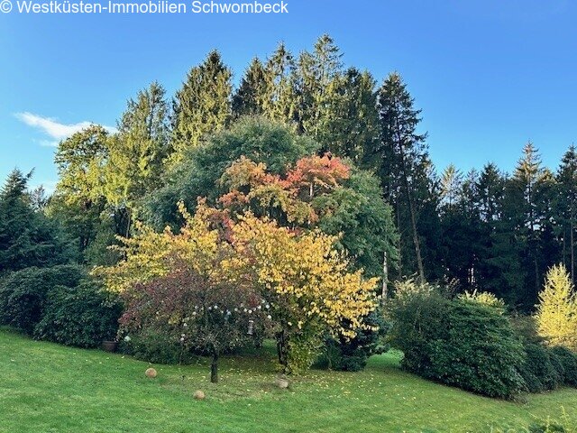 Garten im Wandel des Jahres Garten im Wandel des Jahres