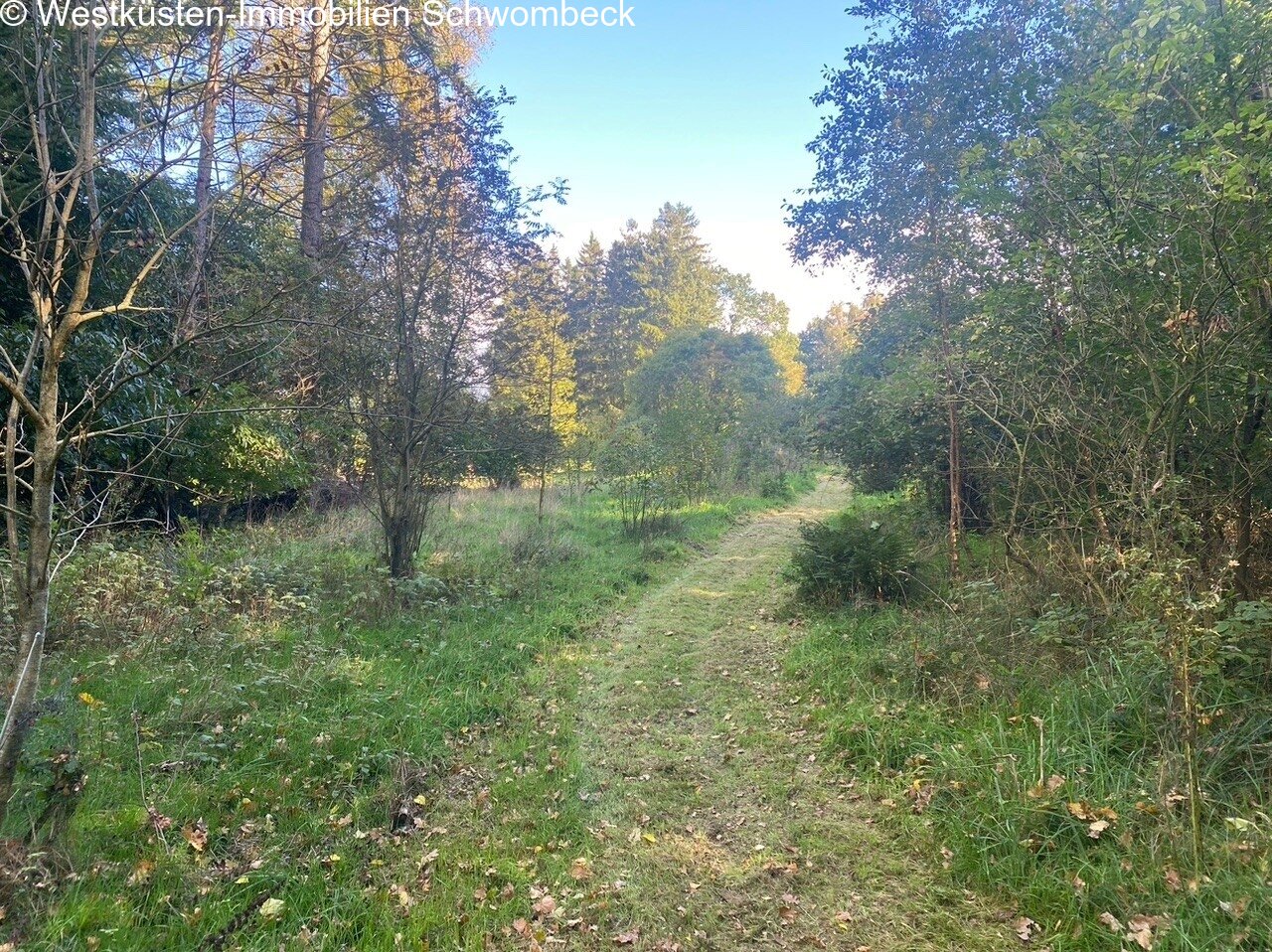 Waldweg rund um das Grundstück Waldweg rund um das Grundstück