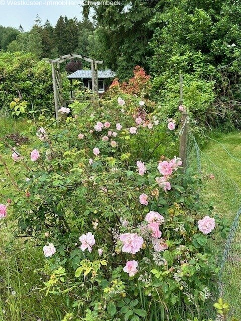Rosenbeet Rosenbeet