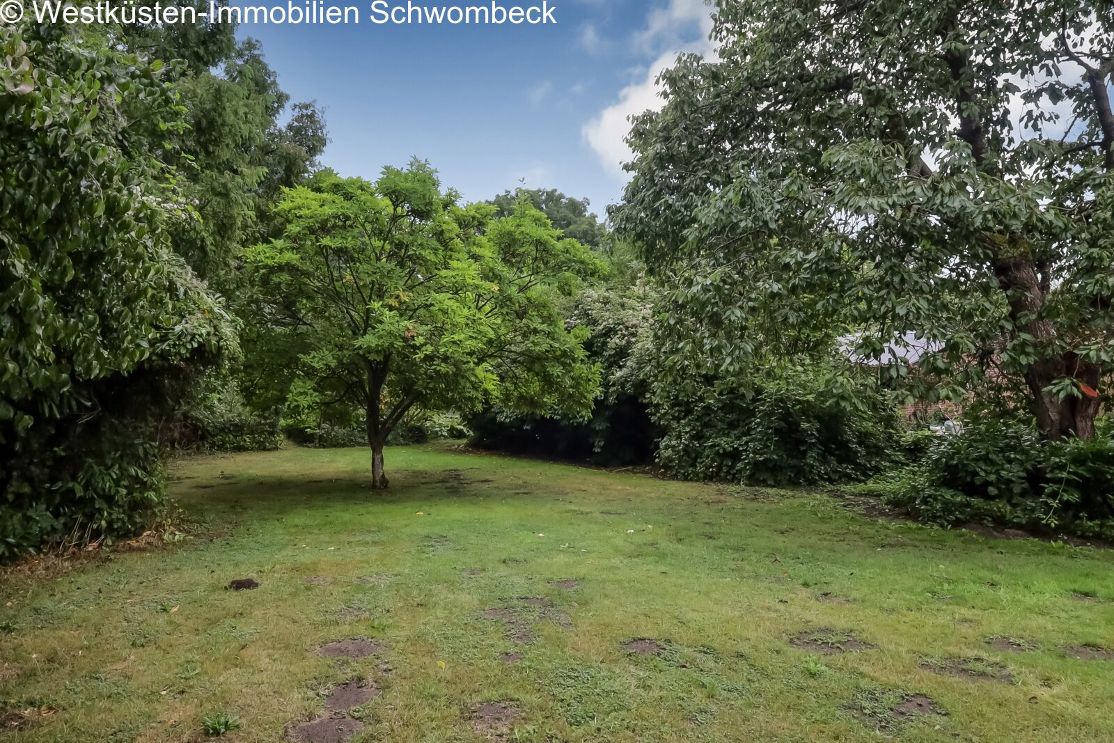 Parkähnlicher Garten mit altem Baumbestand und natürlicher Privatsphäre Parkähnlicher Garten mit altem Baumbestand und natürlicher Privatsphäre